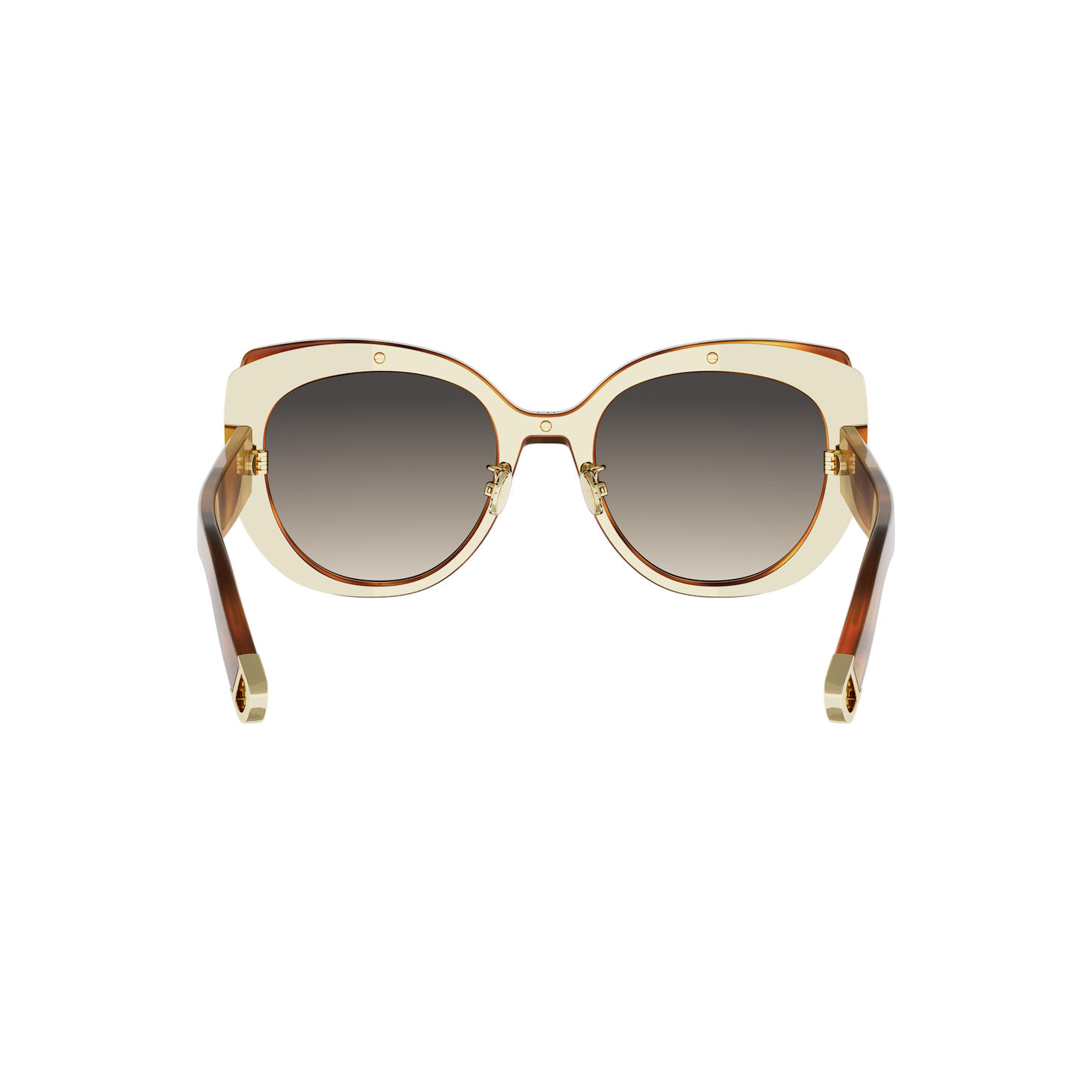 Butterfly Acetate Sunglasses