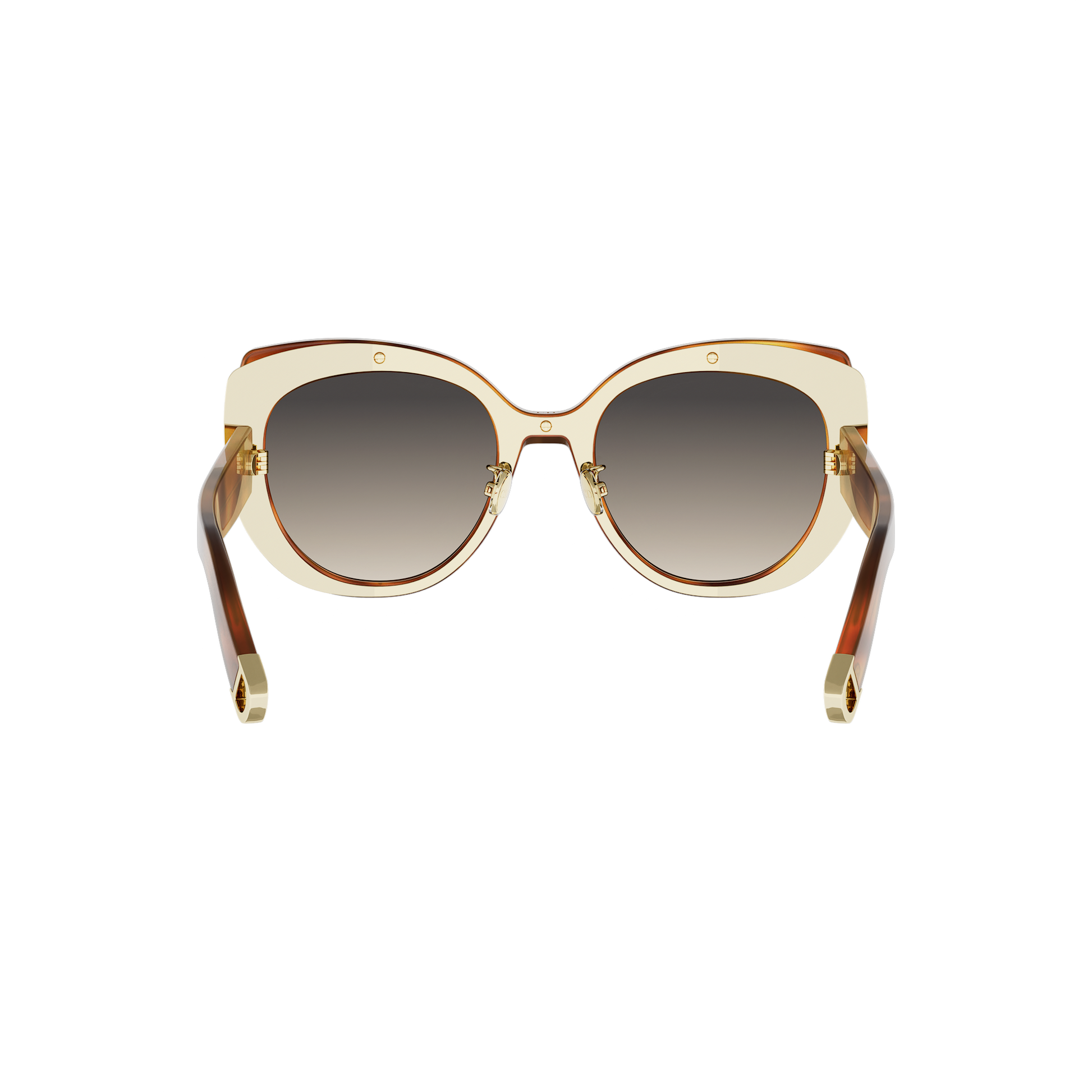 Butterfly Acetate Sunglasses