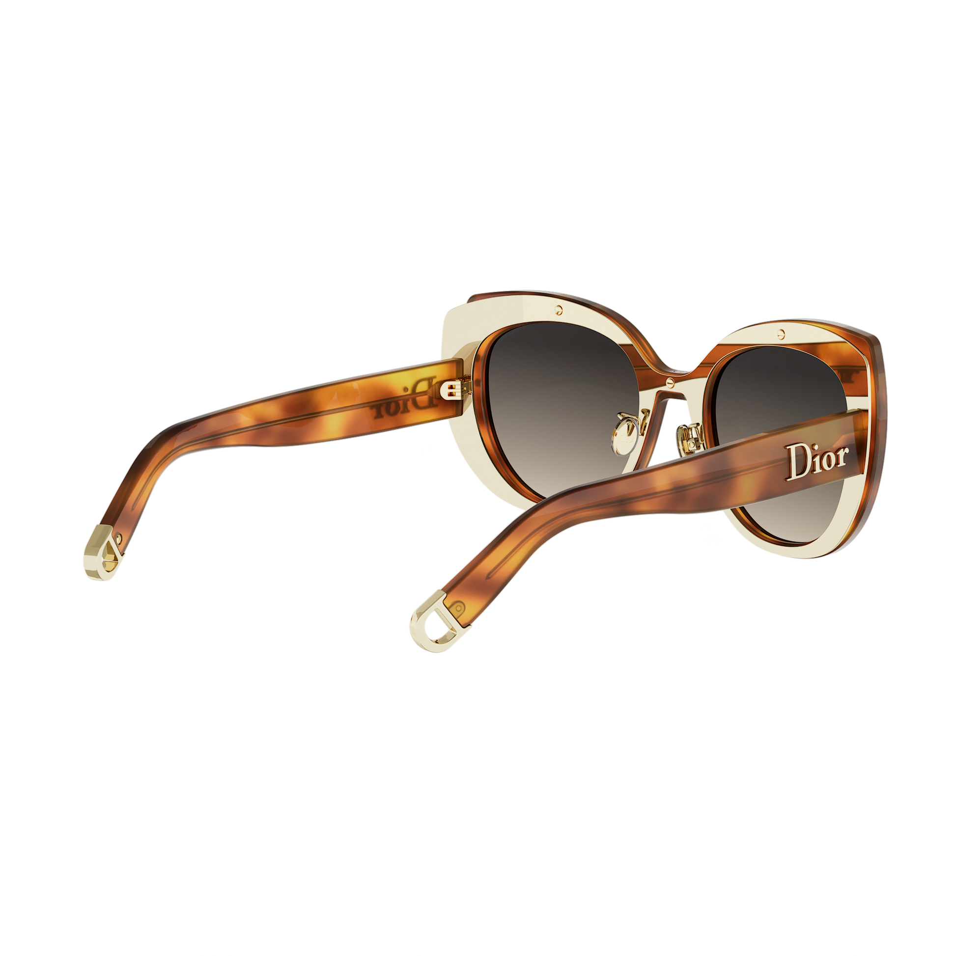 Butterfly Acetate Sunglasses