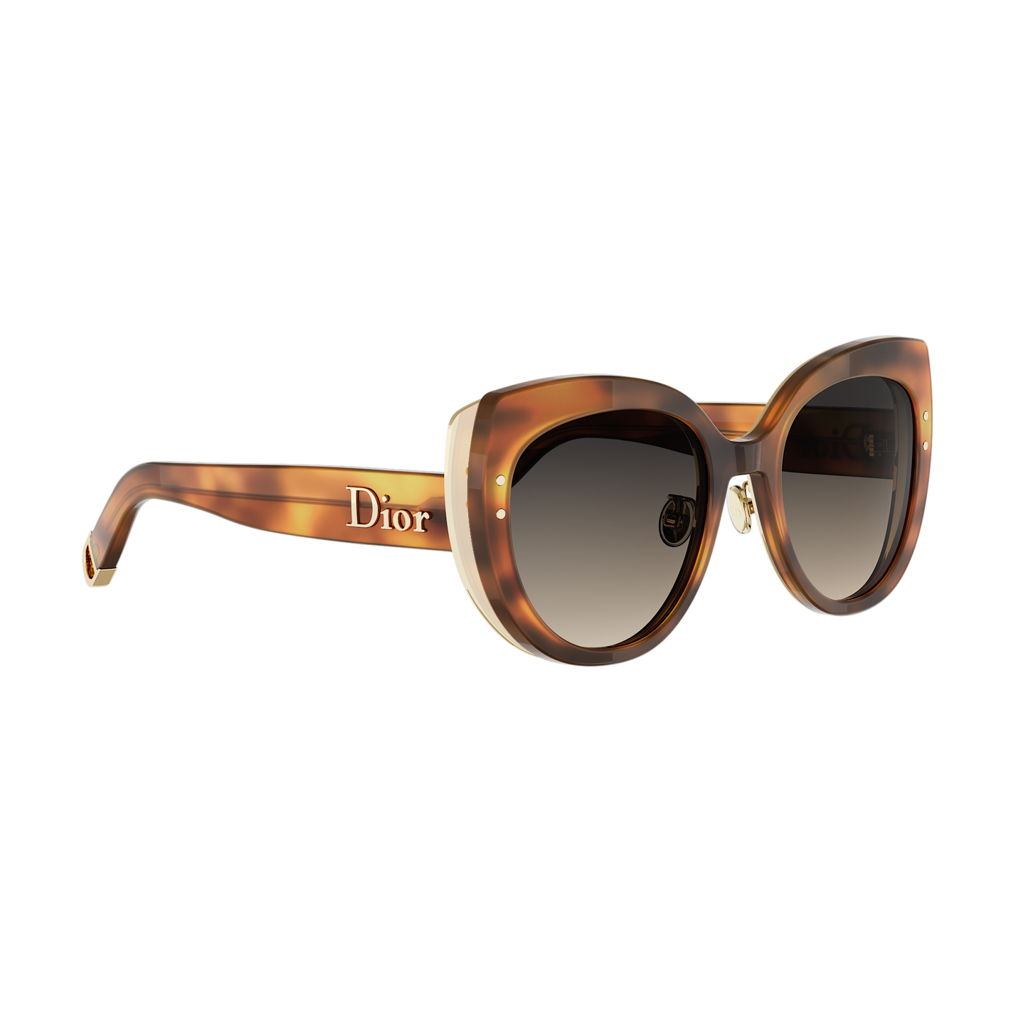 Butterfly Acetate Sunglasses