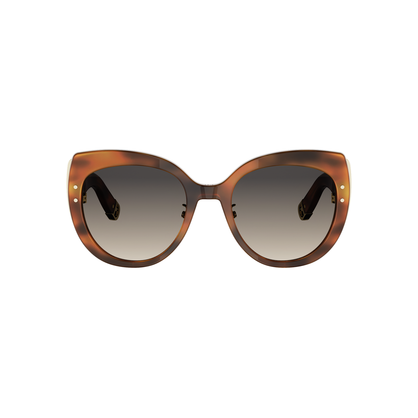 Butterfly Acetate Sunglasses