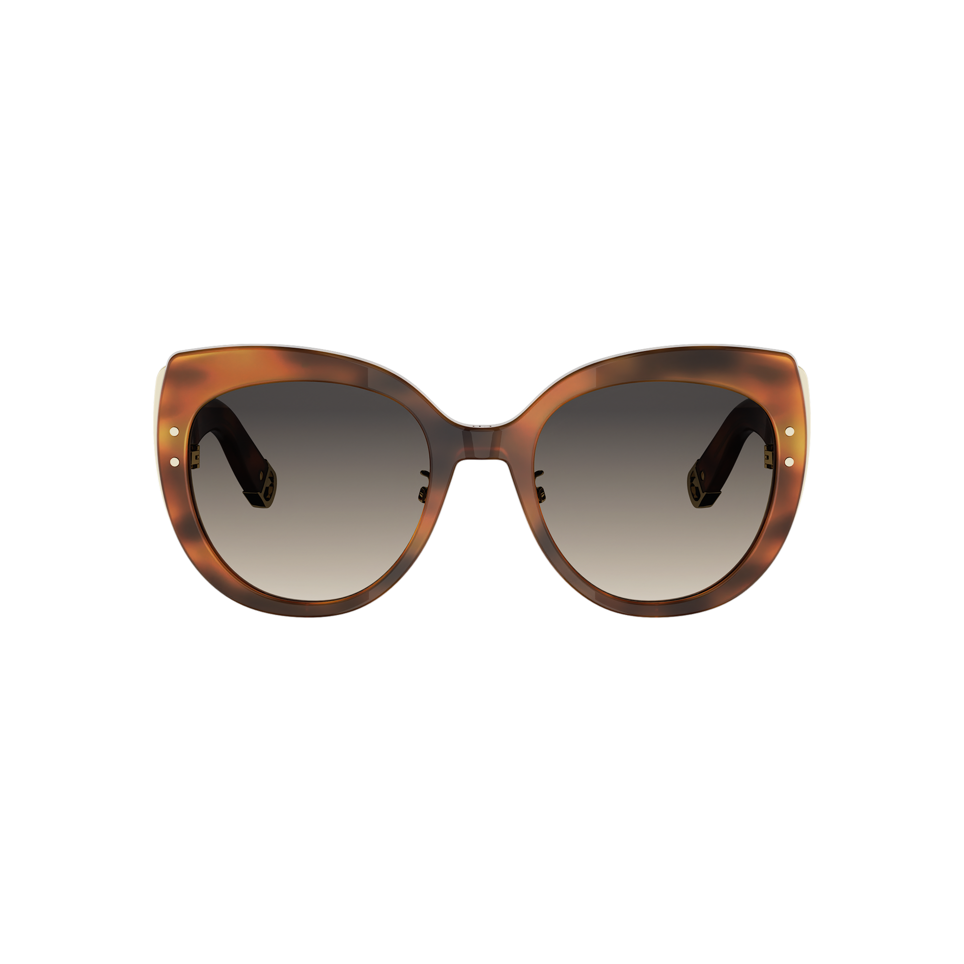 Butterfly Acetate Sunglasses
