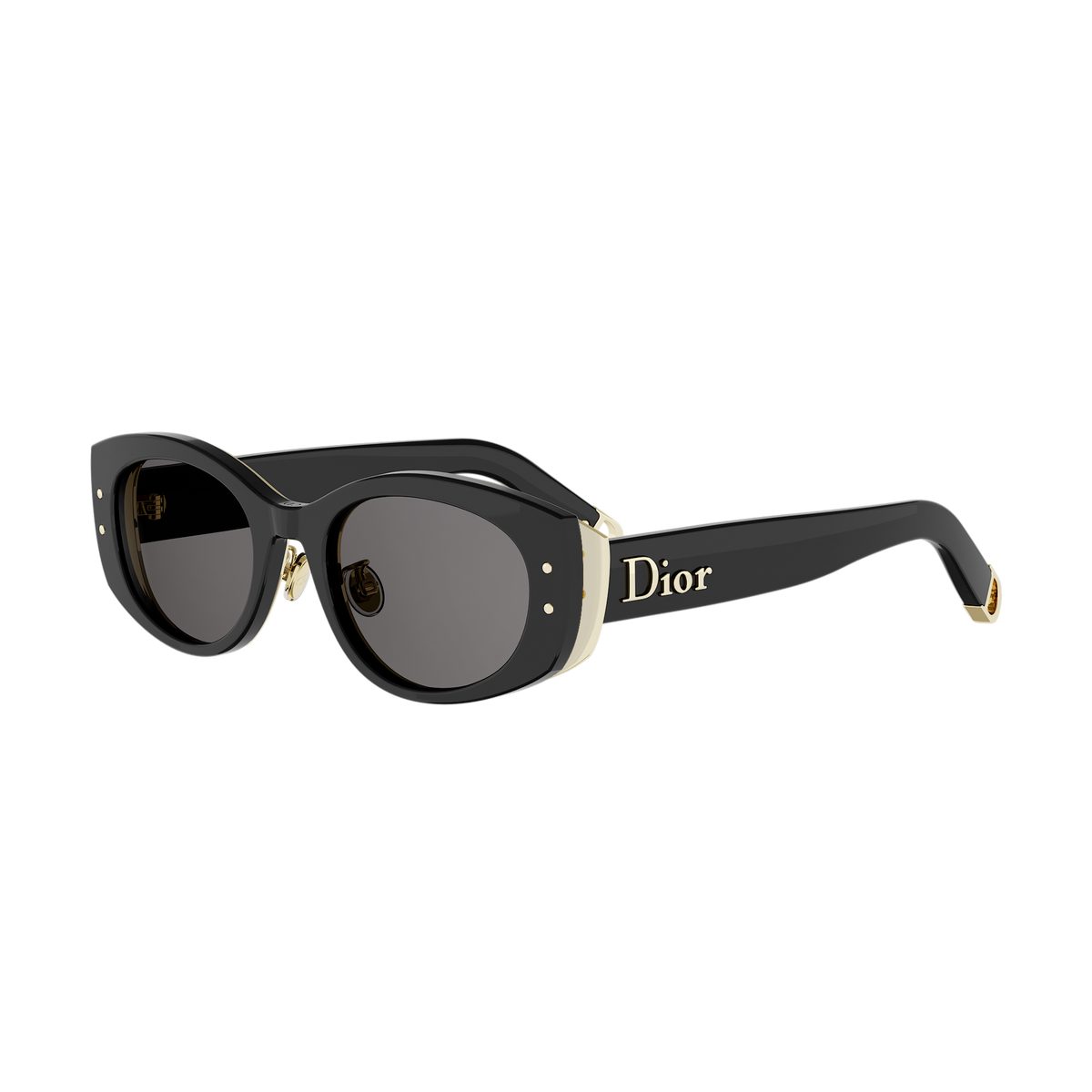 Oval Acetate Sunglasses