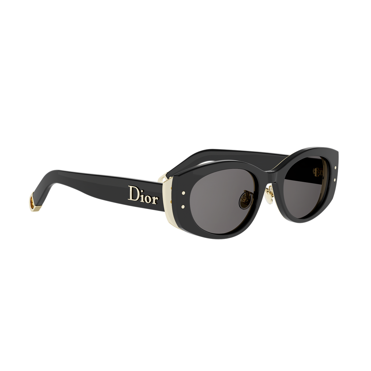 Oval Acetate Sunglasses