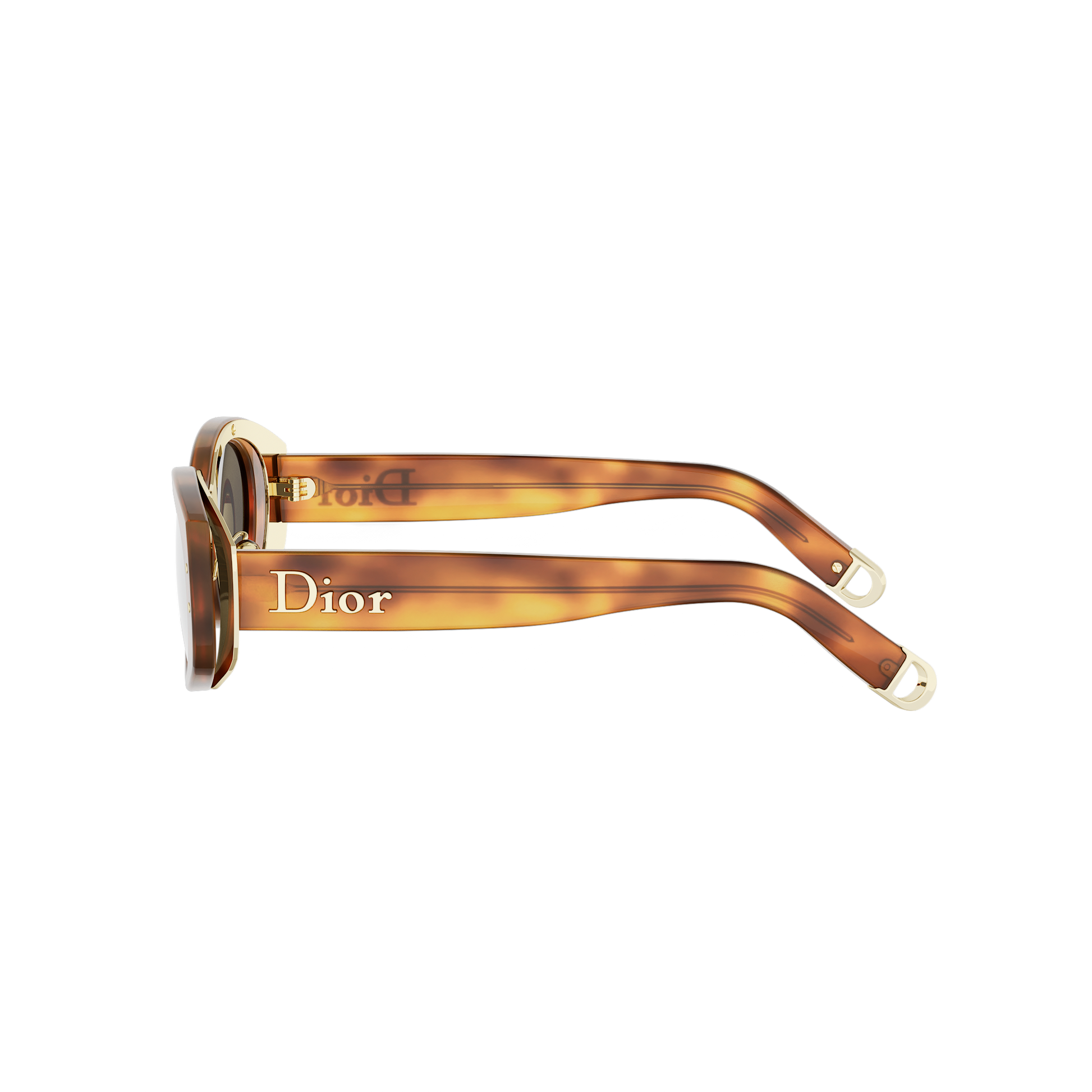 Oval Acetate Sunglasses