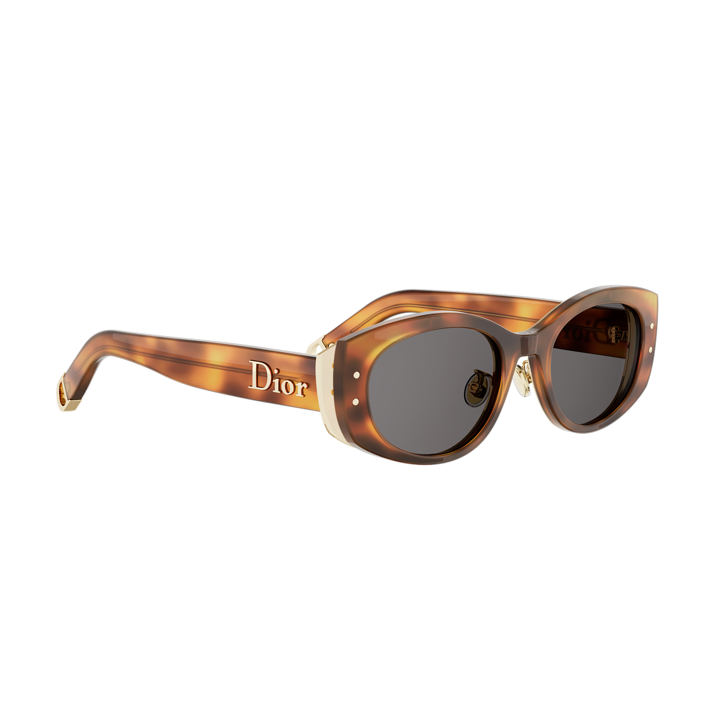 Oval Acetate Sunglasses