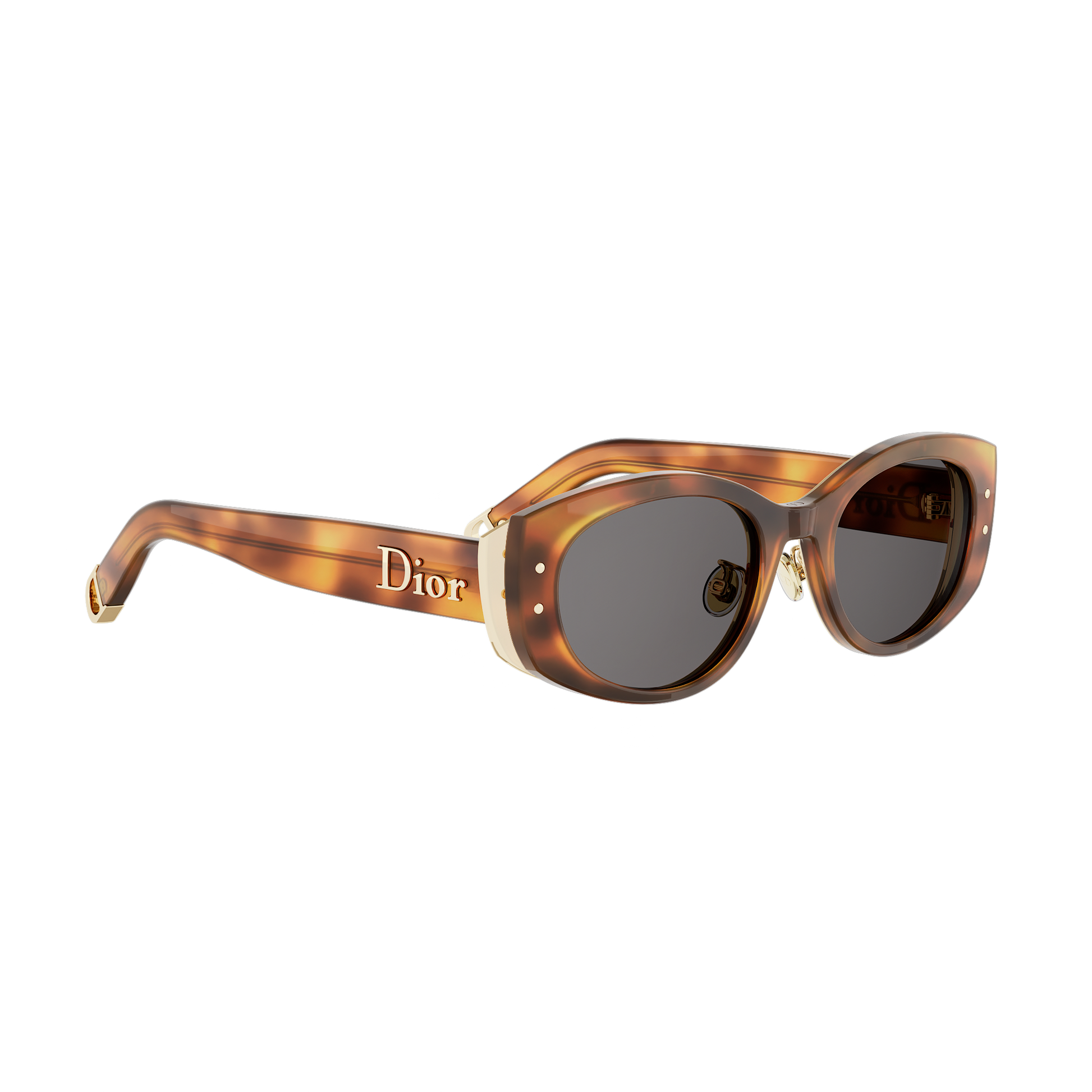 Oval Acetate Sunglasses