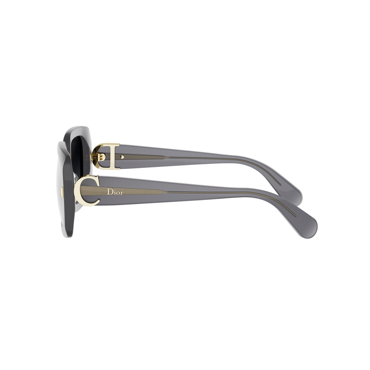 Rectangular Acetate Sunglasses