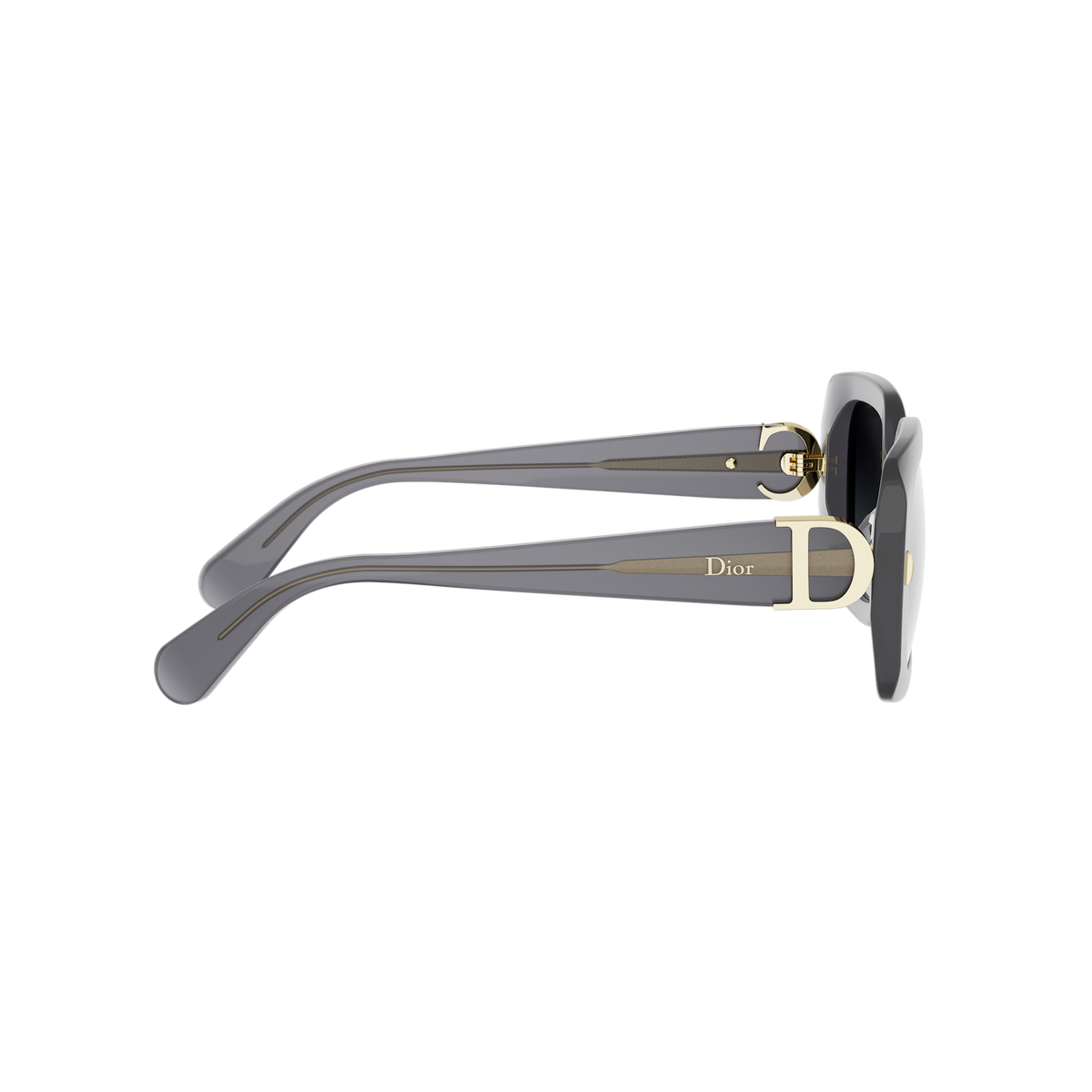 Rectangular Acetate Sunglasses