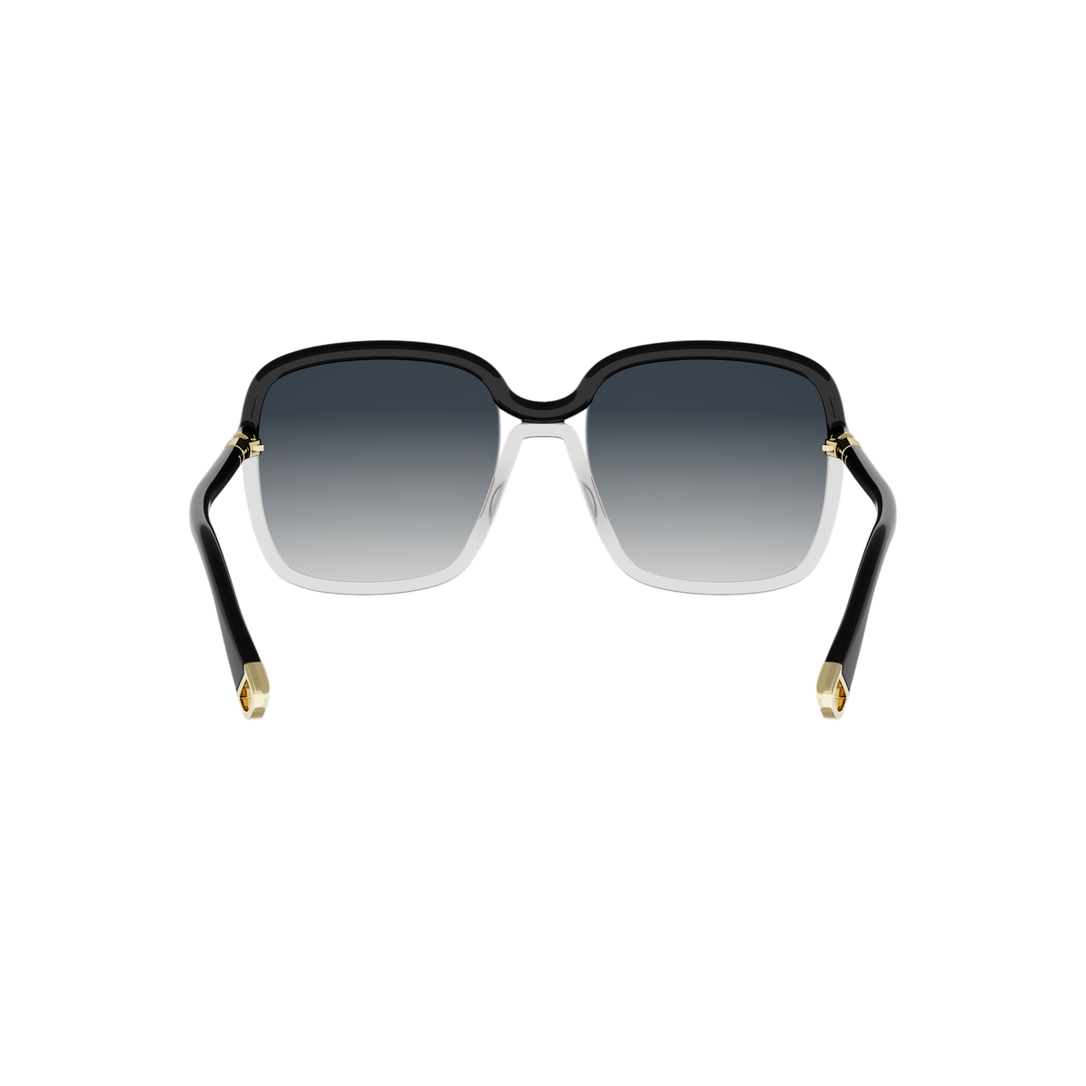 Oversized Square Acetate Sunglasses