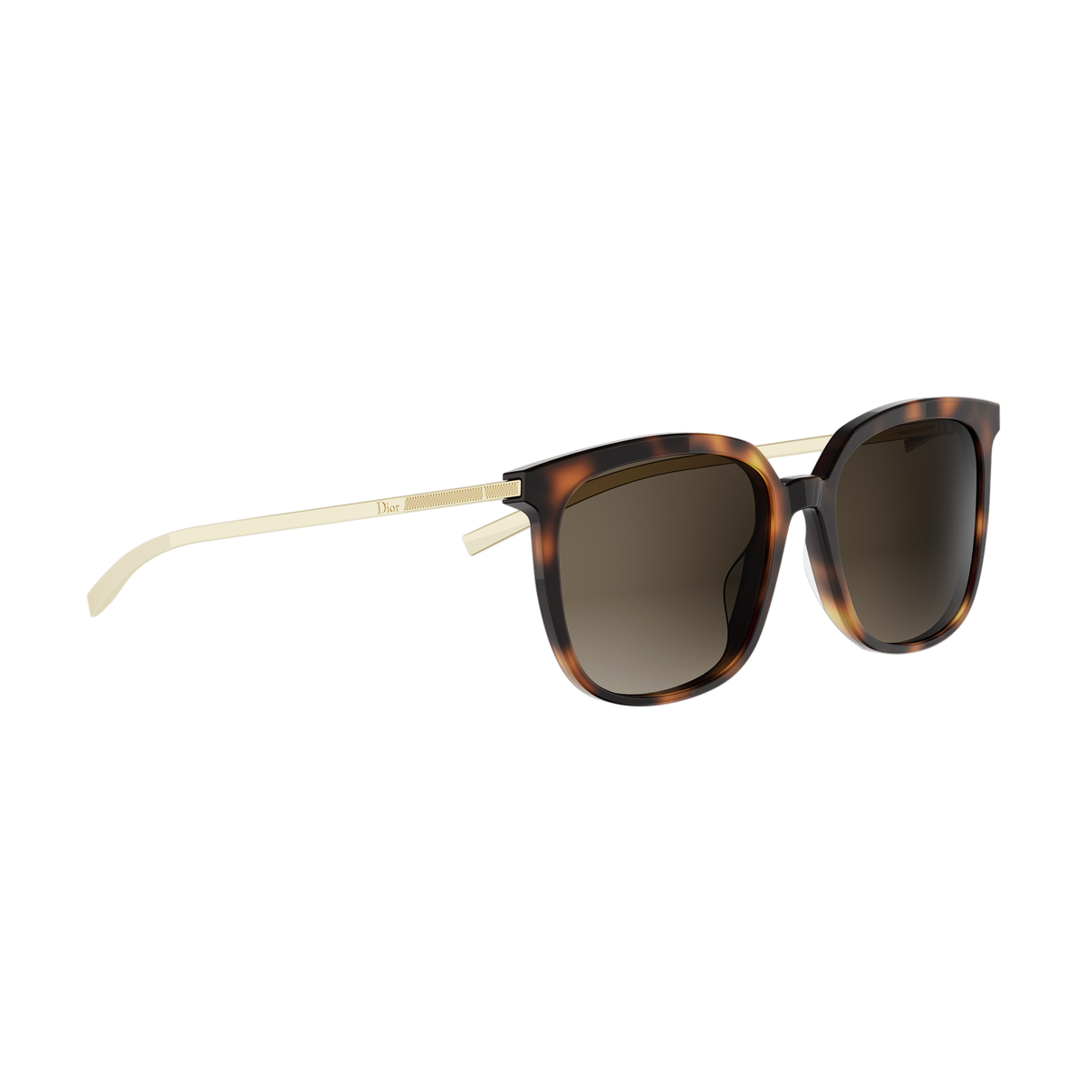 Square Combination Sunglasses