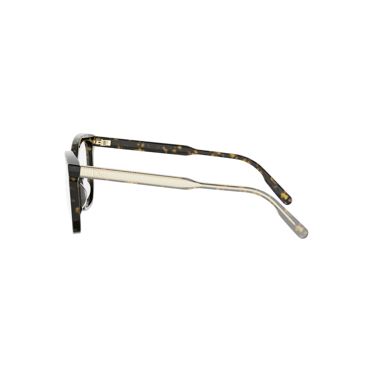 Cat-eye Acetate Eyeglasses
