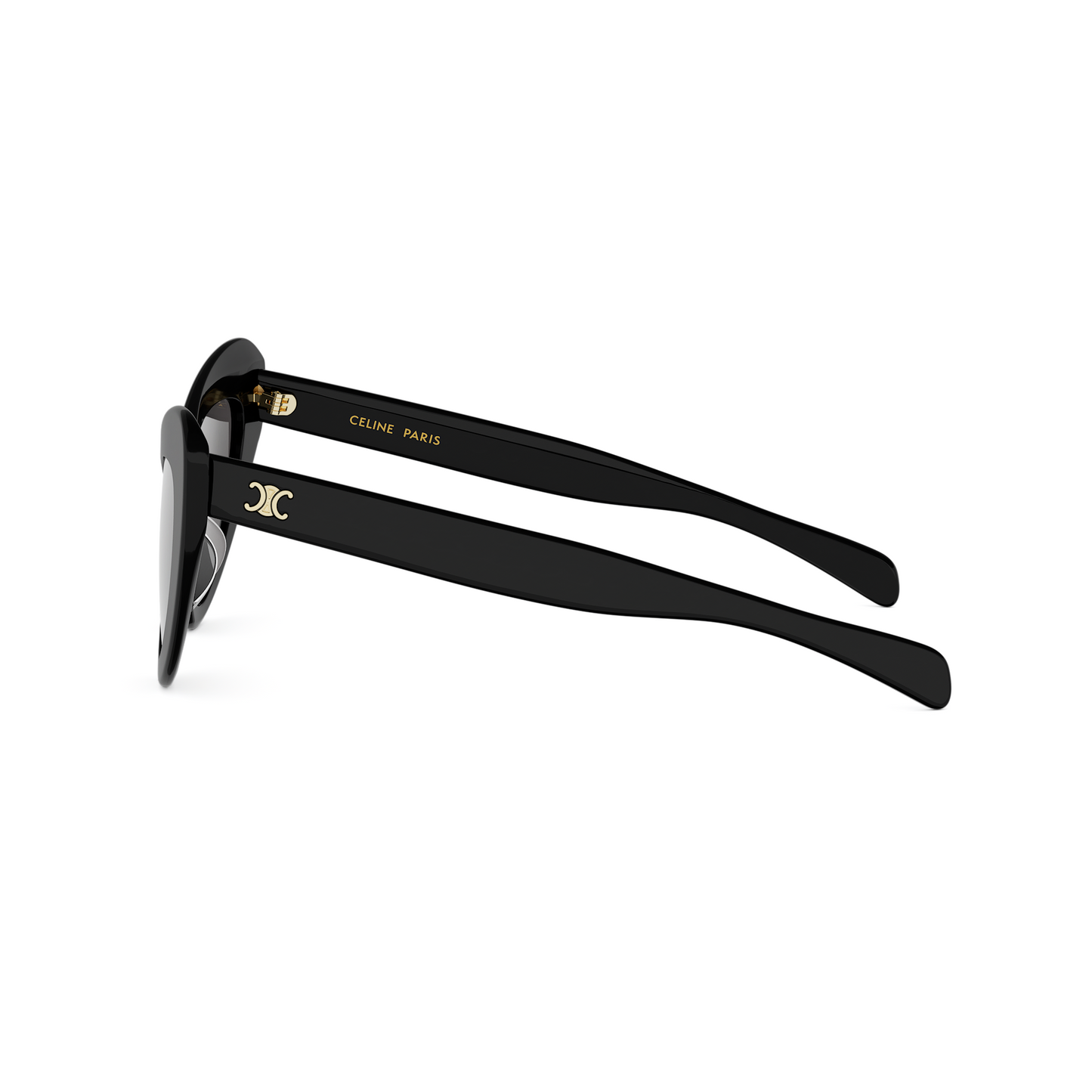 Cat Eye Acetate Sunglasses