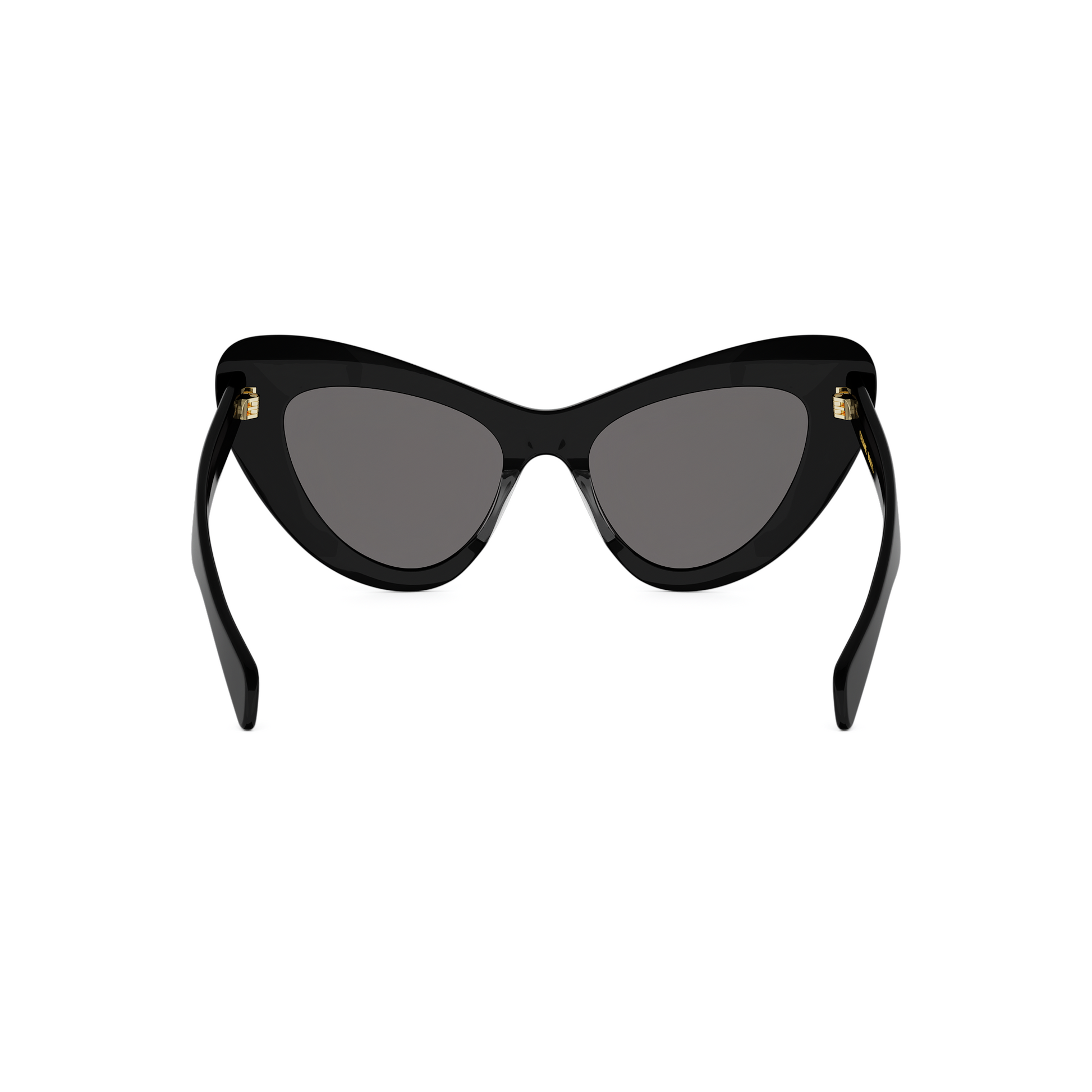 Cat Eye Acetate Sunglasses