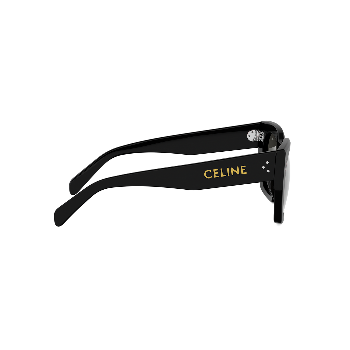 Square Acetate Sunglasses