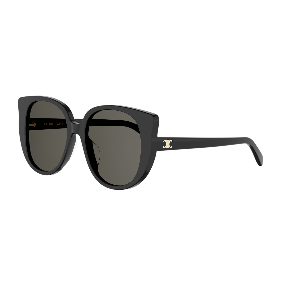Oversized Cat-eye Acetate Sunglasses