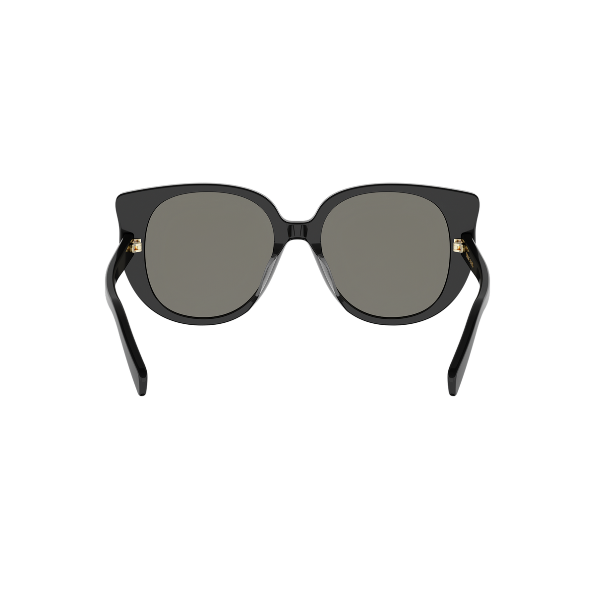 Oversized Cat-eye Acetate Sunglasses