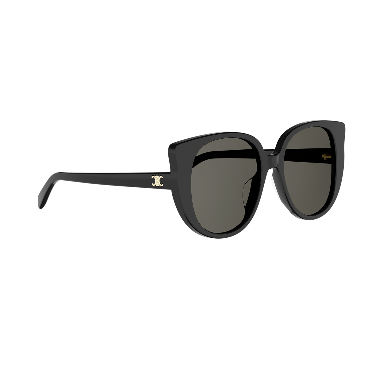 Oversized Cat-eye Acetate Sunglasses