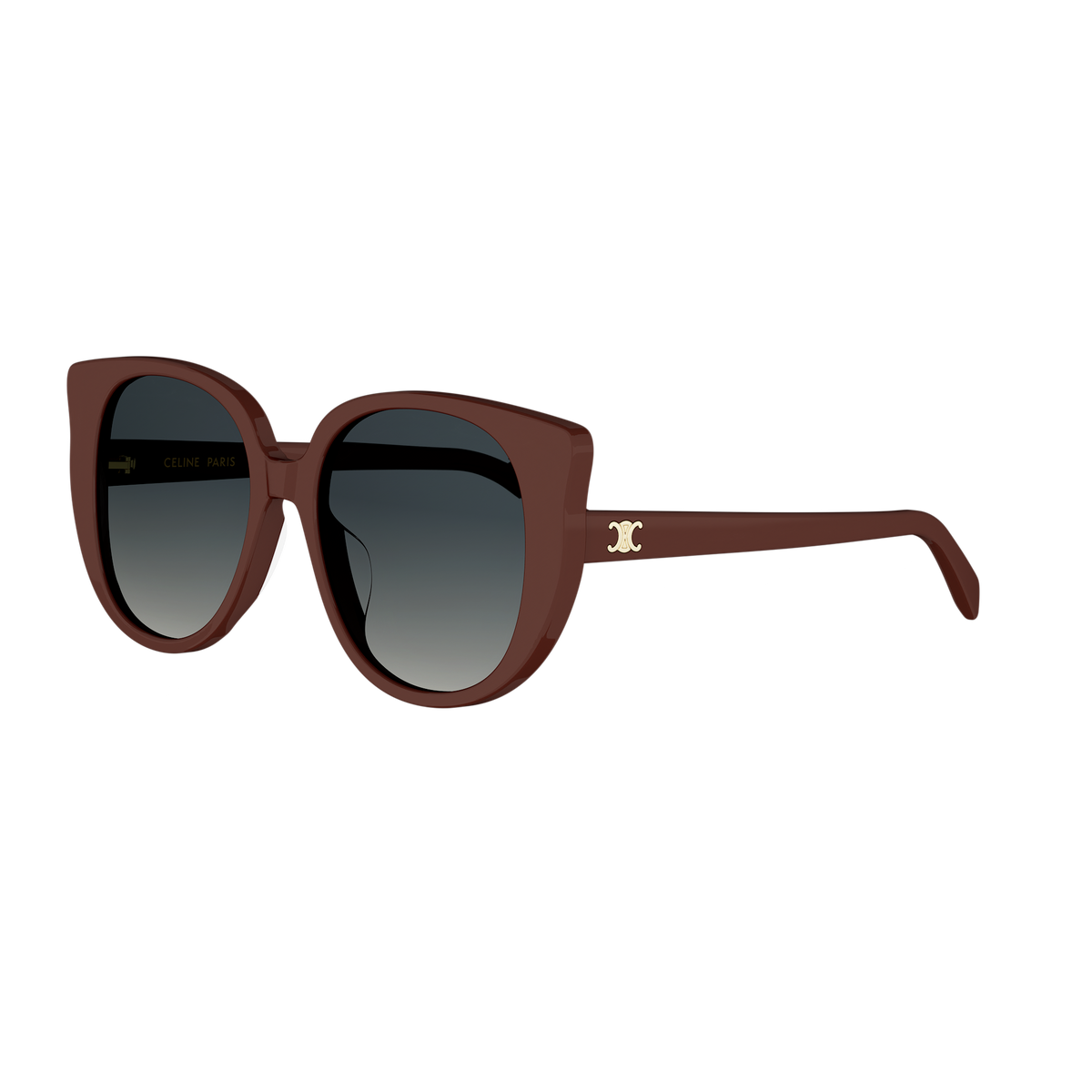 Oversized Cat-eye Acetate Sunglasses
