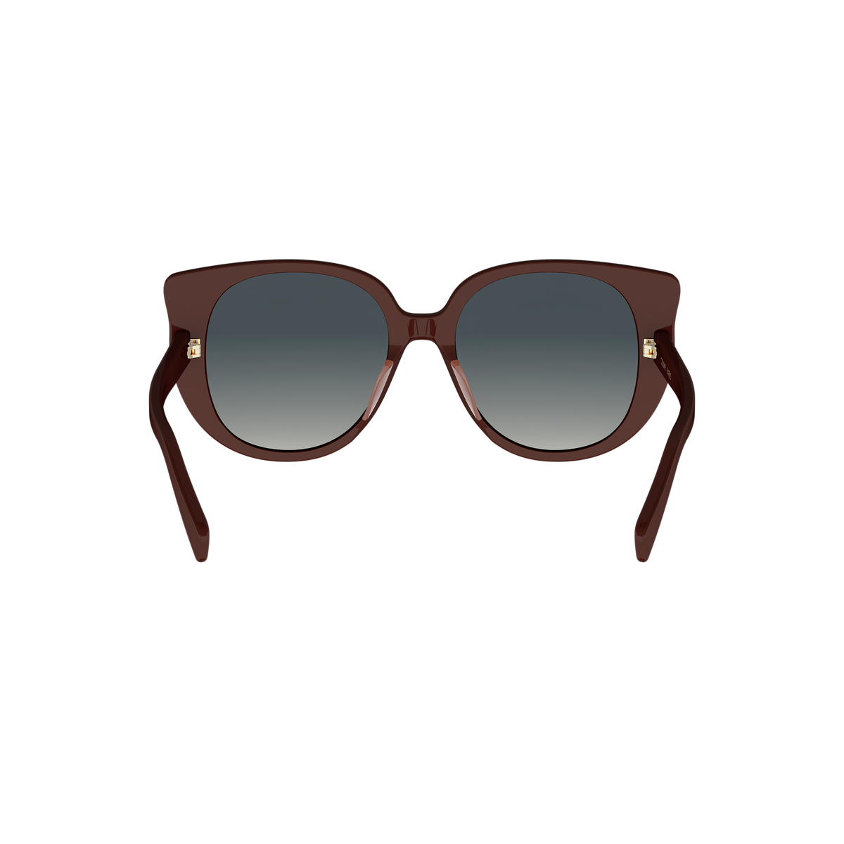 Oversized Cat-eye Acetate Sunglasses