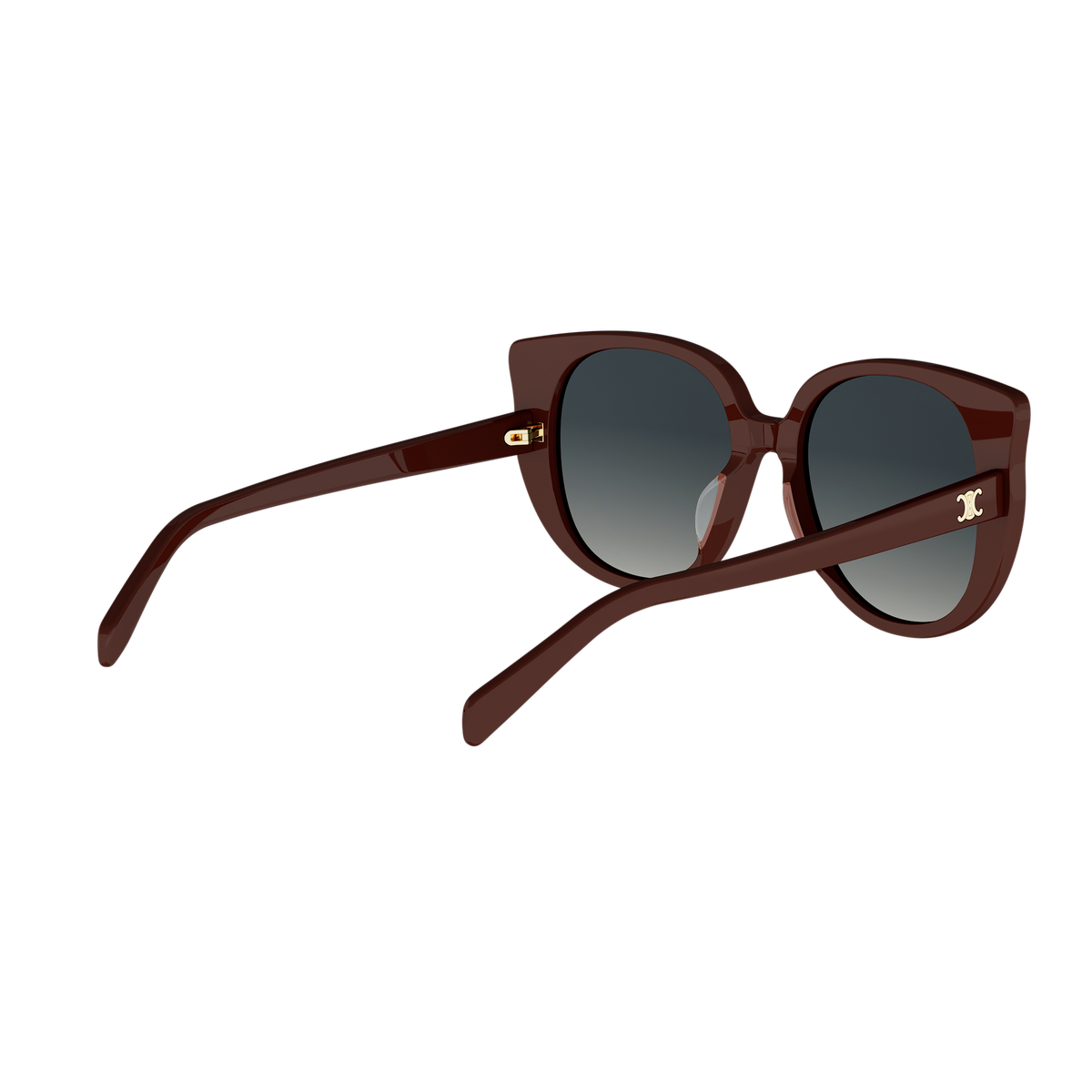 Oversized Cat-eye Acetate Sunglasses