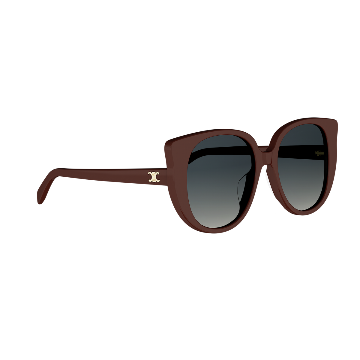 Oversized Cat-eye Acetate Sunglasses