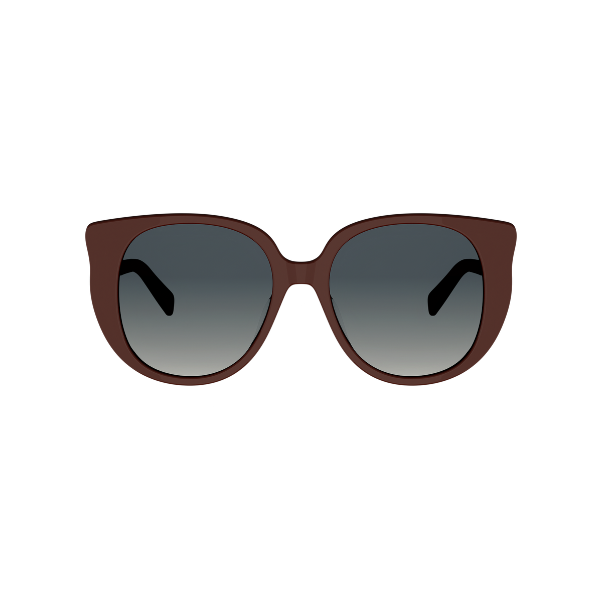 Oversized Cat-eye Acetate Sunglasses