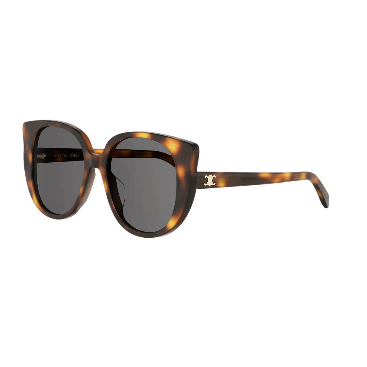 Oversized Cat-eye Acetate Sunglasses