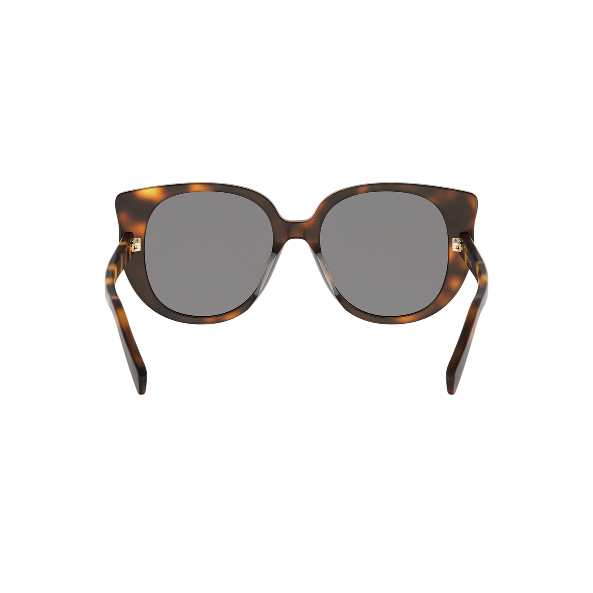 Oversized Cat-eye Acetate Sunglasses