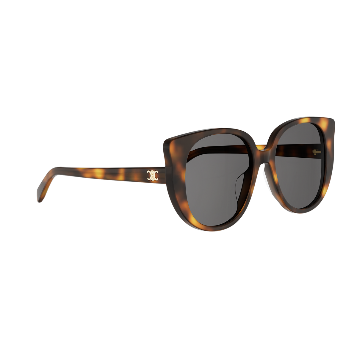 Oversized Cat-eye Acetate Sunglasses