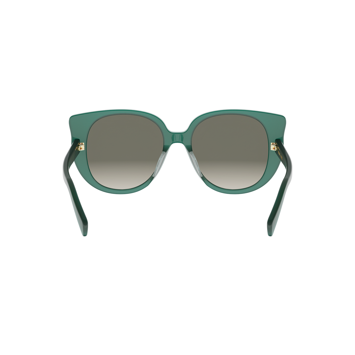 Oversized Cat-eye Acetate Sunglasses