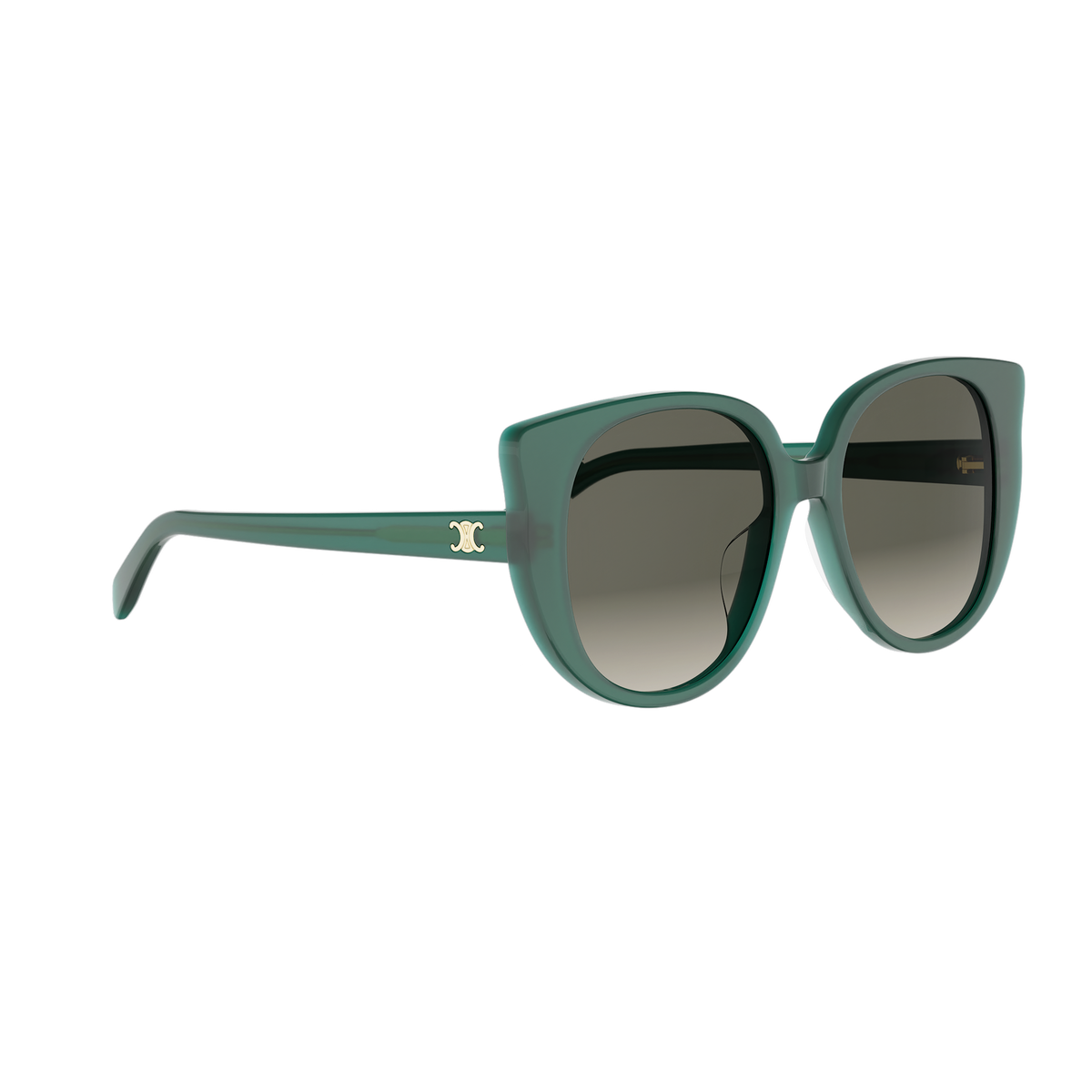 Oversized Cat-eye Acetate Sunglasses