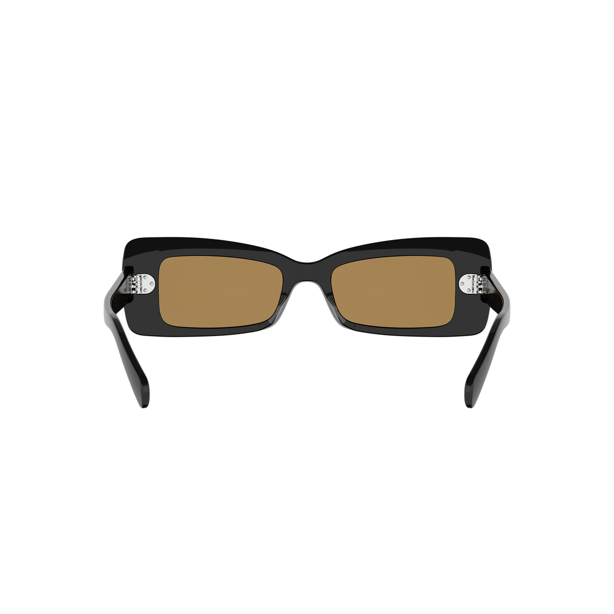 Rectangular Butterfly Acetate Sunglasses