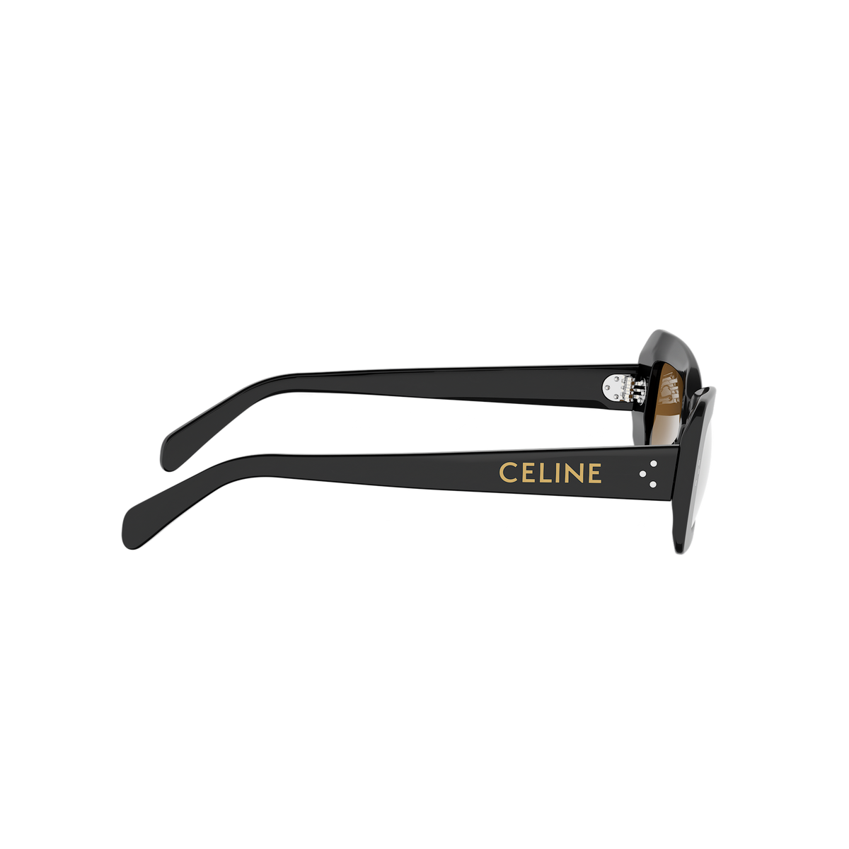 Rectangular Butterfly Acetate Sunglasses