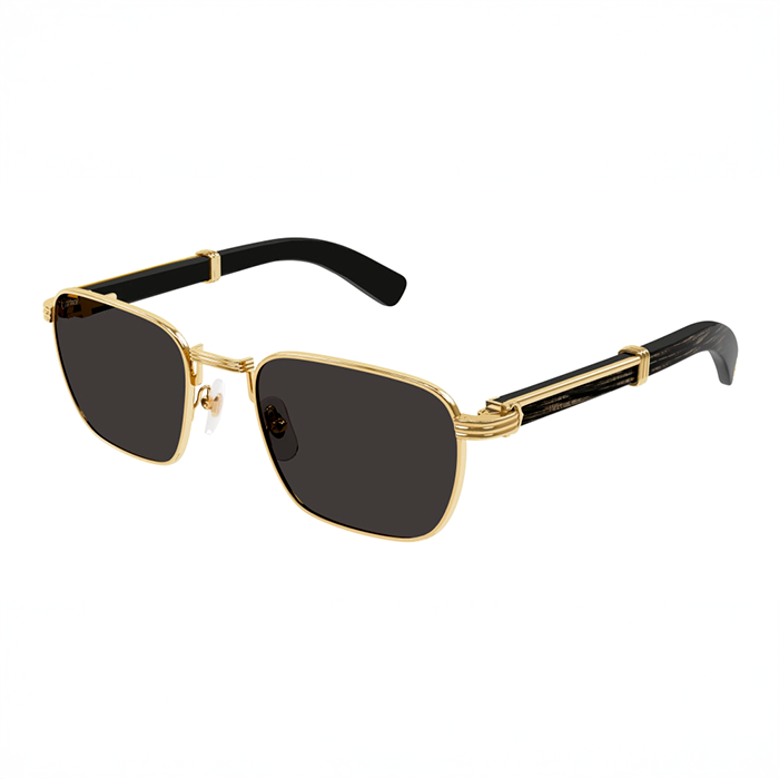 CT0363S Première Horn Sunglasses