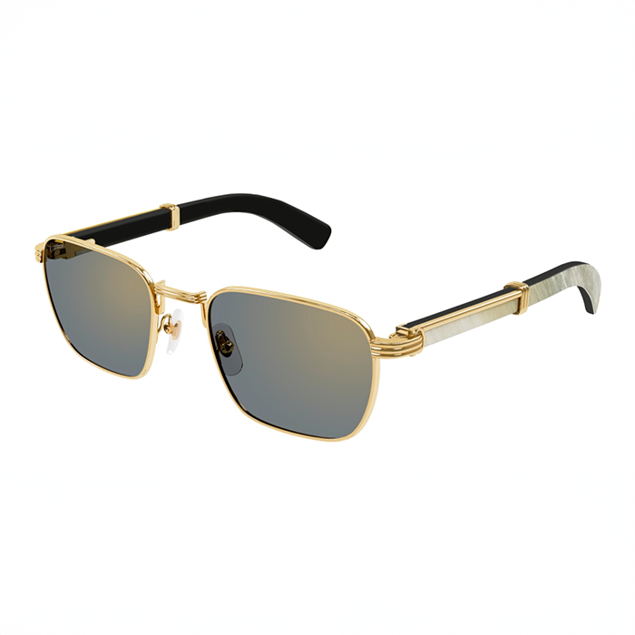 CT0363S Première Horn Sunglasses