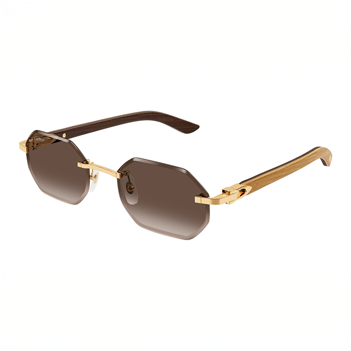 CT0439S Wood and Horn C Décor Sunglasses