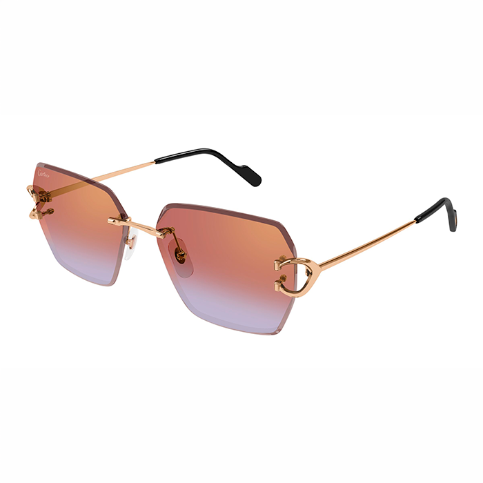 CT0466S  Signature C Sunglasses