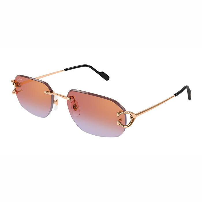 CT0468S Signature C Sunglasses