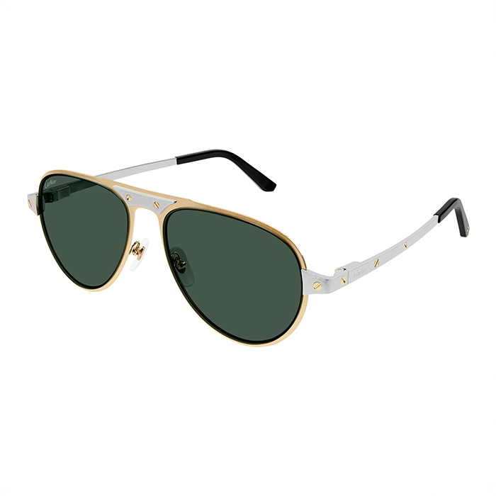 CT0533S Santos Sunglasses