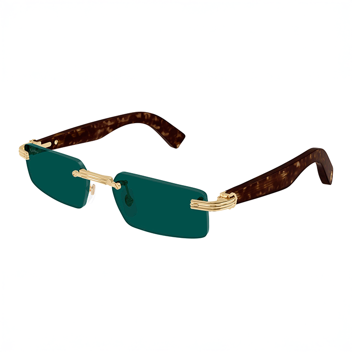 CT0537S Première Acetate Sunglasses