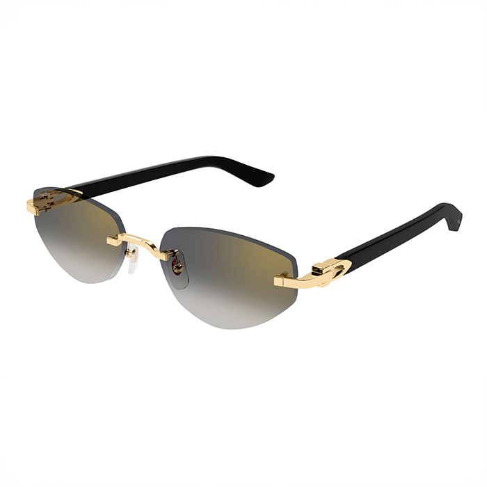 CT0580S Cat-eye C Décor Sunglasses