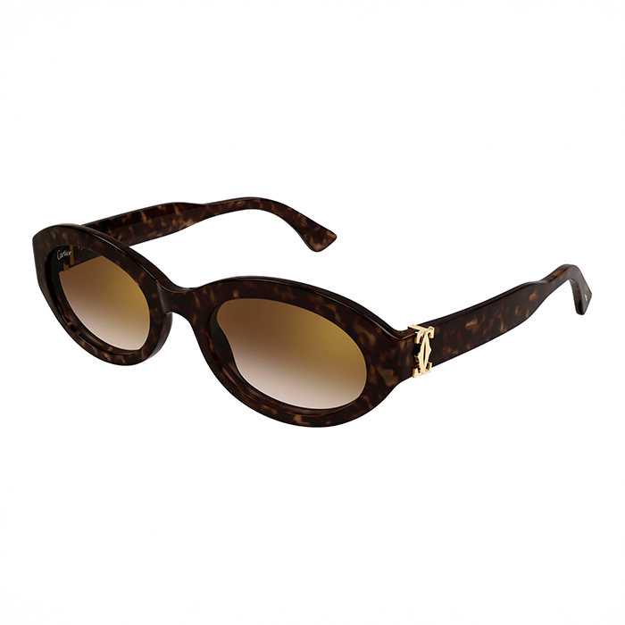 CT0588S Contemporary Sunglasses
