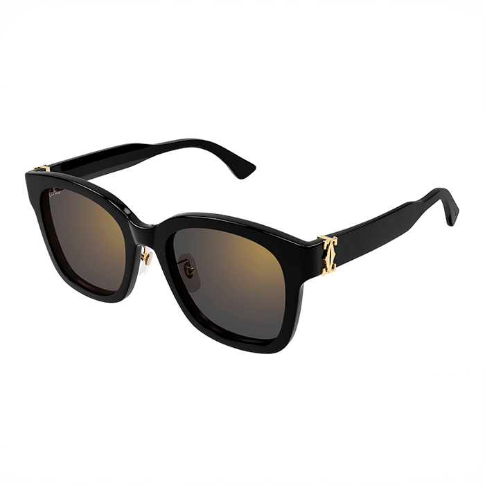 CT0589SA Contemporary Sunglasses