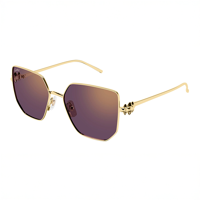 CT0645S Clash Sunglasses