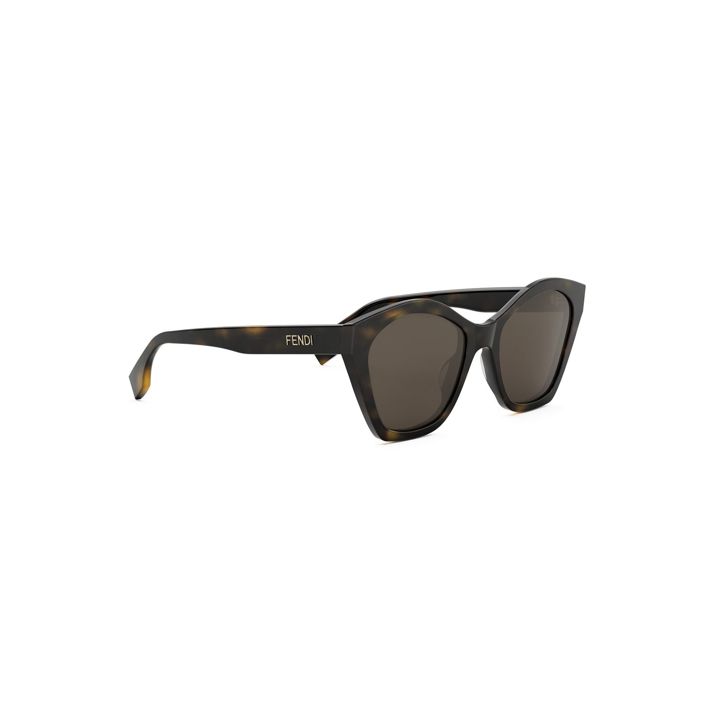 Cat-eye Acetate Sunglasses