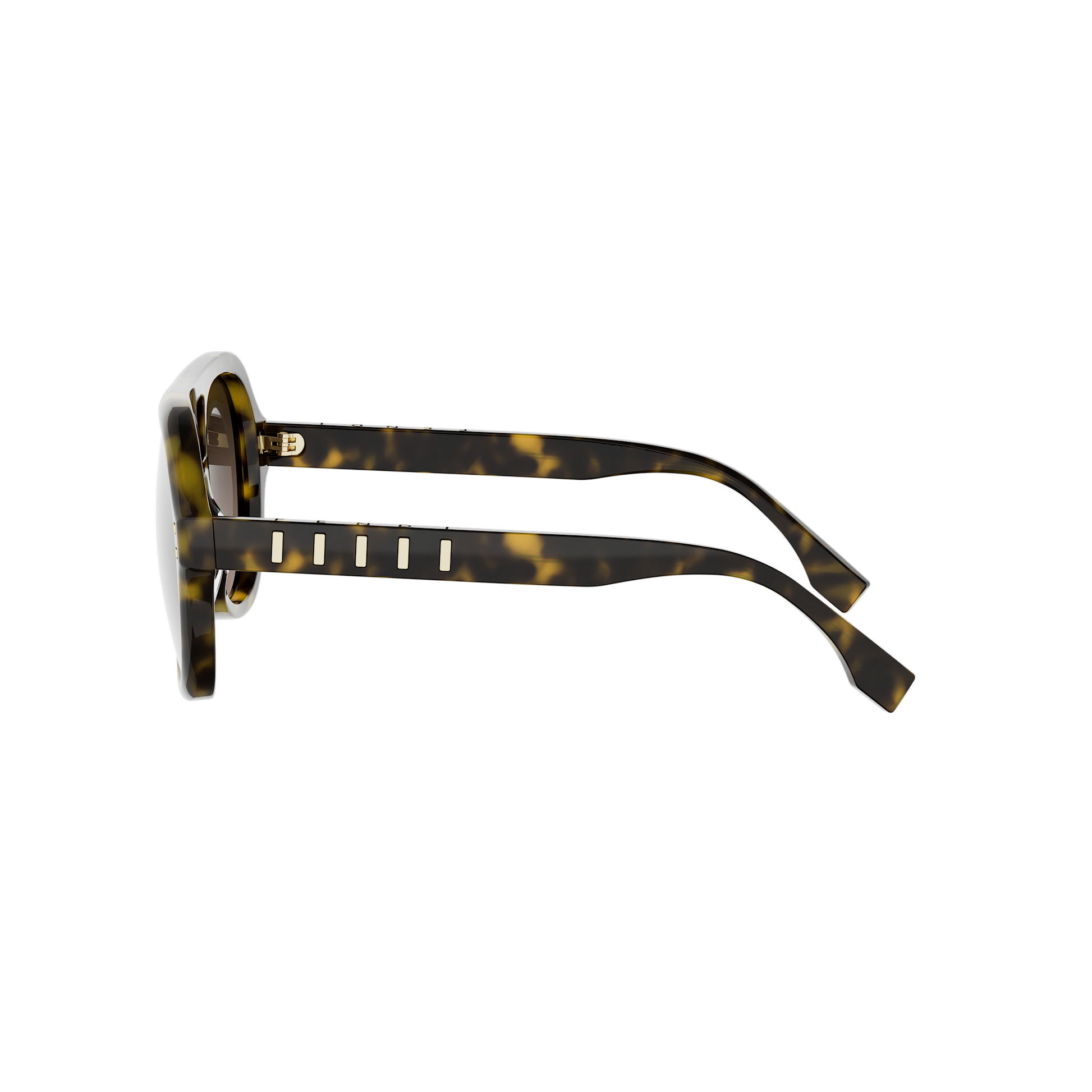 Aviator Acetate Sunglasses