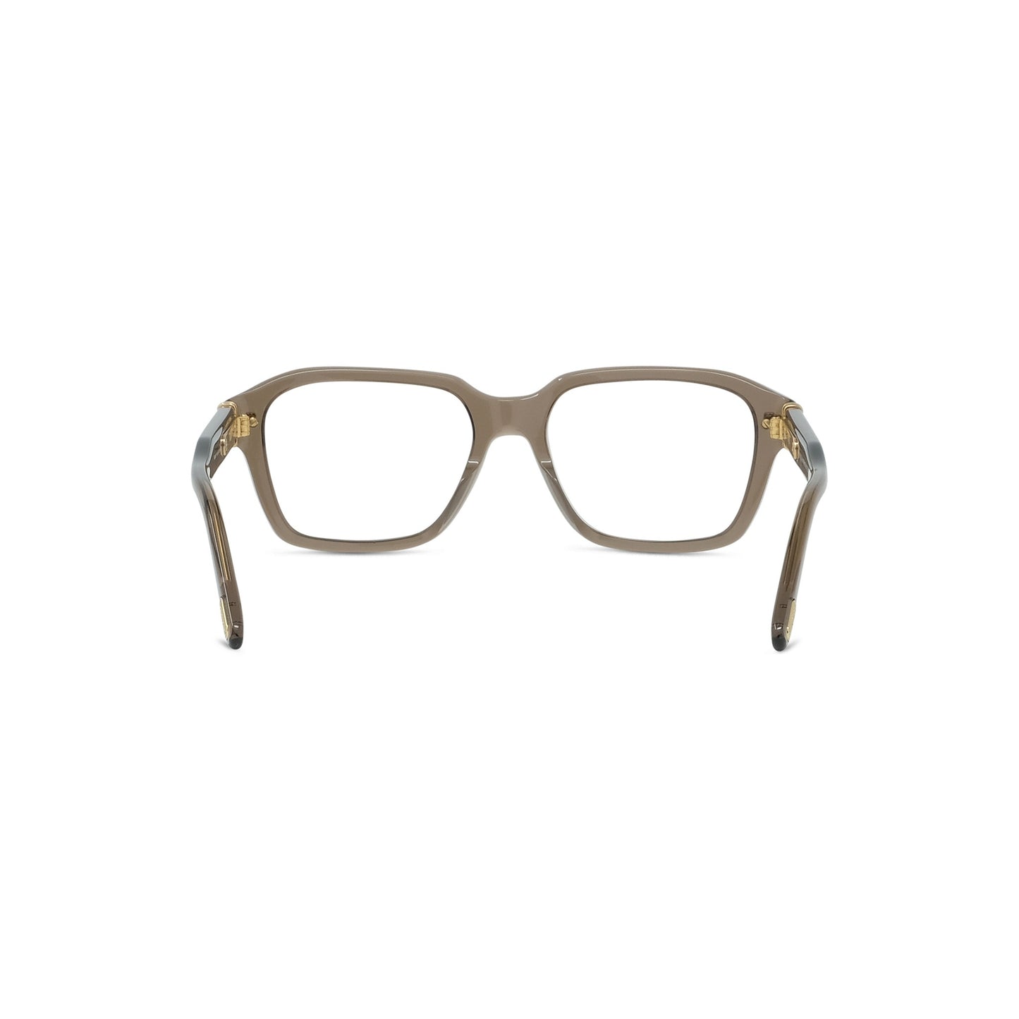 Rectangular Acetate Eyeglasses