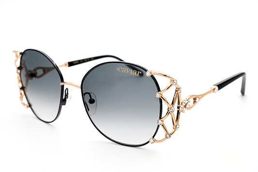 6888 Sunglasses