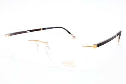 Hinge C-2 5565 LT Eyeglasses